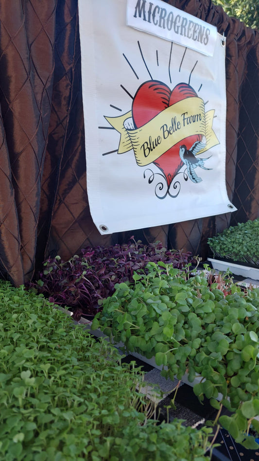 Microgreens - Seasonal