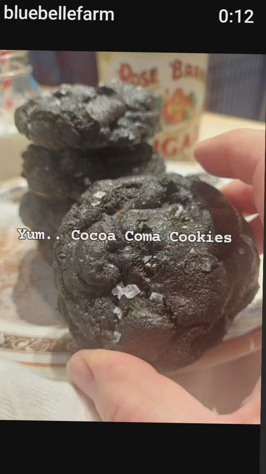 Cocoa Coma Cookie